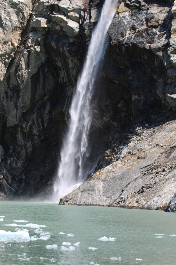 Alaska Tracy arm Taku bay 296