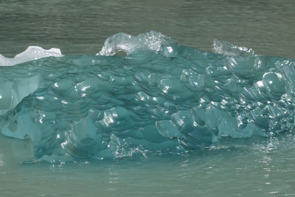 Alaska Tracy arm Taku bay 300