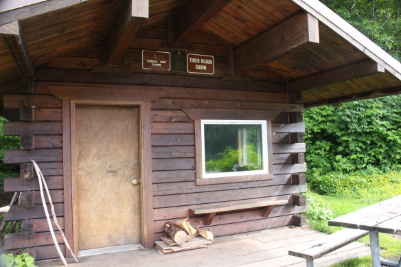 Alaska Tracy arm Taku bay 334