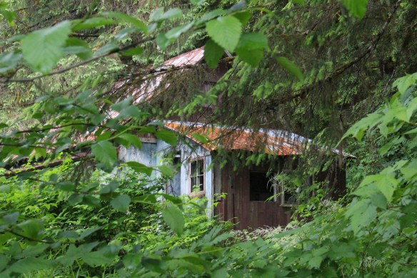 Alaska Tracy arm Taku bay 339