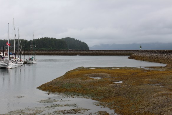 Alaska   2017 Hoonah 144.JPG