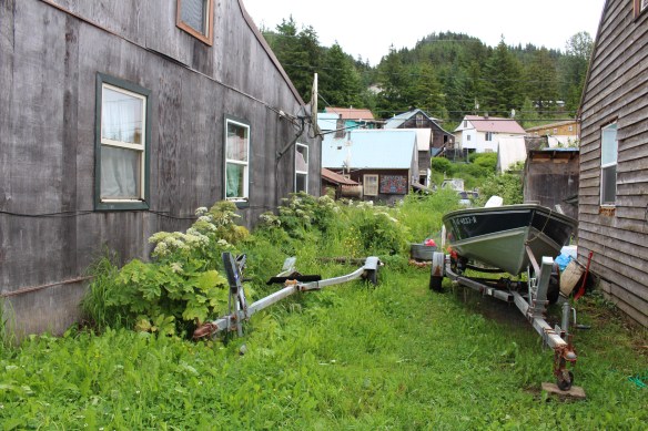 Alaska 2017 Hoonah 146