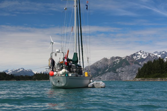 HOONAH GLACIER BAY BLUE MOUSE COVE 063