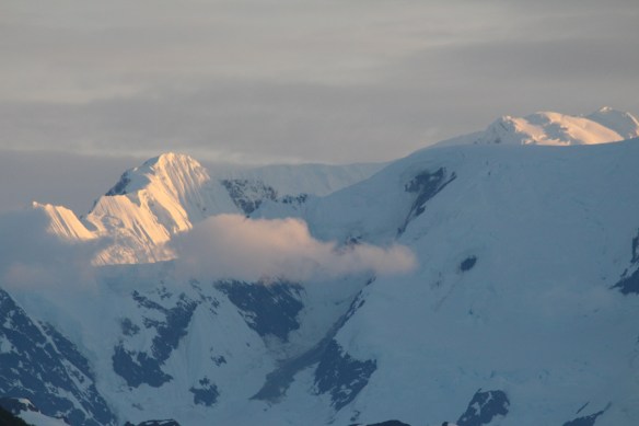 HOONAH GLACIER BAY BLUE MOUSE COVE 073