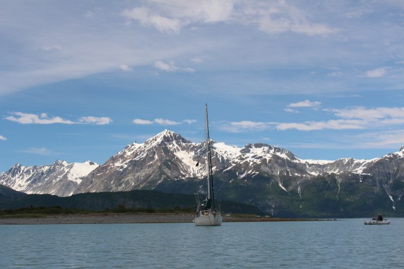 HOONAH GLACIER BAY BLUE MOUSE COVE 138