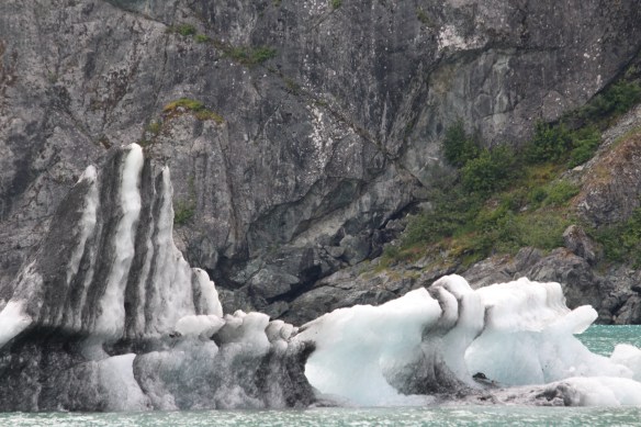 HOONAH GLACIER BAY BLUE MOUSE COVE 234