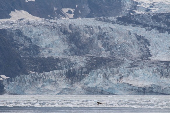 HOONAH GLACIER BAY BLUE MOUSE COVE 276