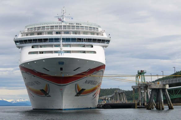 Pavlof Harbor Bubble feeding of Humpbacks in Chatham Strait 063