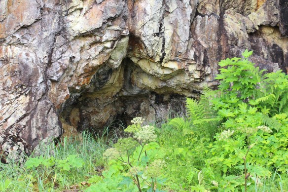 Pavlof Harbor Bubble feeding of Humpbacks in Chatham Strait 078