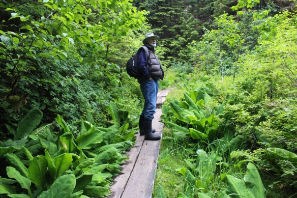 COSMOS COVE BARANOF WARM SPRINGS 071