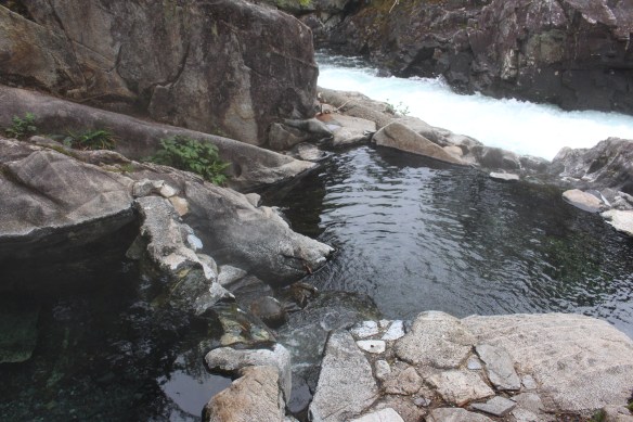 COSMOS COVE BARANOF WARM SPRINGS 085