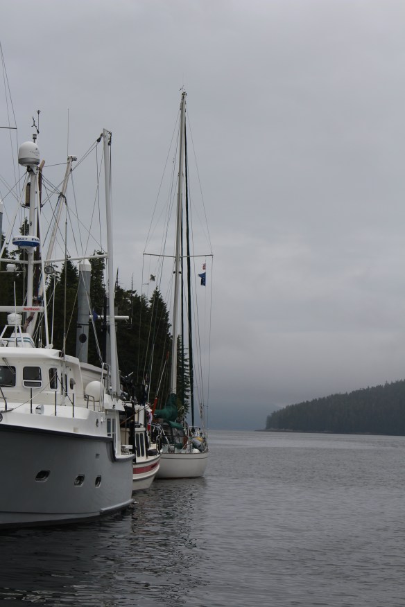COSMOS COVE BARANOF WARM SPRINGS 095