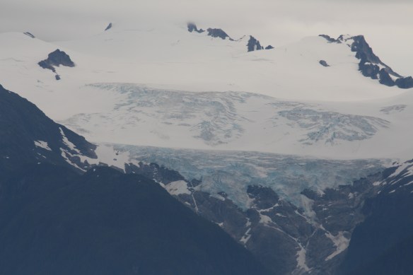 Lords pocket, Thorne bay, eagles in Ketchikan 2017 004