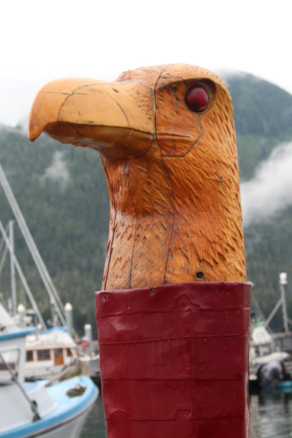 Lords pocket, Thorne bay, eagles in Ketchikan 2017 010