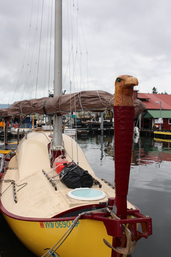 Lords pocket, Thorne bay, eagles in Ketchikan 2017 011