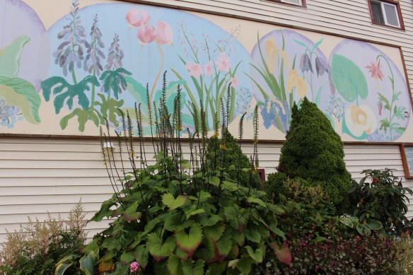 Lords pocket, Thorne bay, eagles in Ketchikan 2017 023