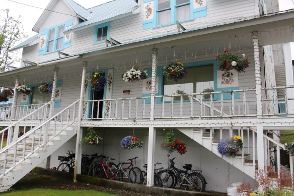 Lords pocket, Thorne bay, eagles in Ketchikan 2017 026