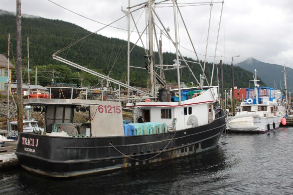 Lords pocket, Thorne bay, eagles in Ketchikan 2017 085