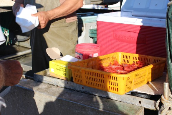 2017 Gowlland, Comox 039