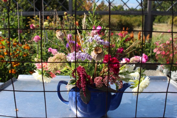 2017 Gowlland, Comox 045