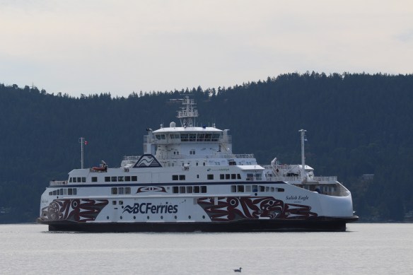 Nanaimo Clam Bay 026