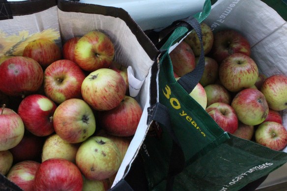 Nanaimo Clam Bay 034